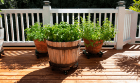 5 Things Professionals Say You Should Never Put on Your Porch