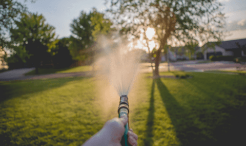 A POV shot of a person holding a hose directly in front of them onto their lawn in the early morning.